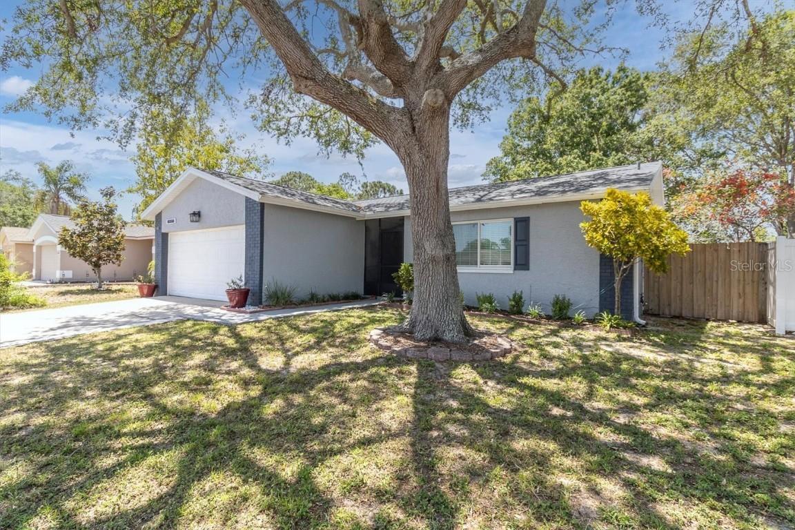 1428 Chesterfield Dr., Dunedin, FL 34698