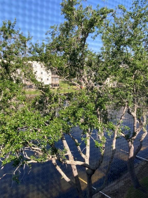 6080 80th St. #409, St Petersburg, FL 33709