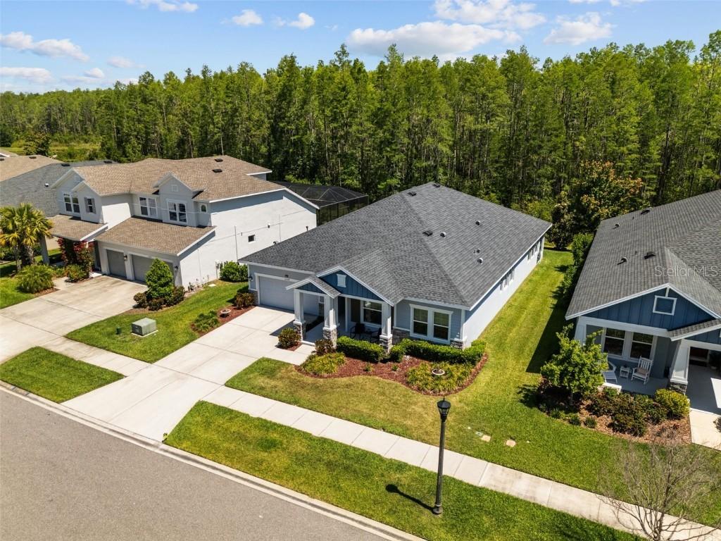 15329 Renaissance Ave., Odessa, FL 33556
