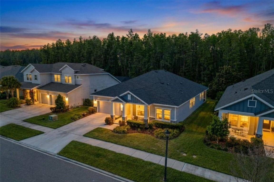 15329 Renaissance Ave., Odessa, FL 33556