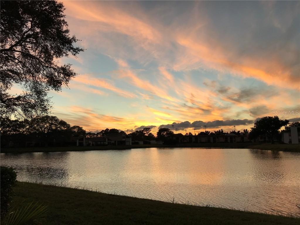 215 Nina Way, Oldsmar, FL 34677