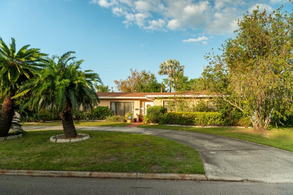 631 Luzon Ave., Tampa, FL 33606