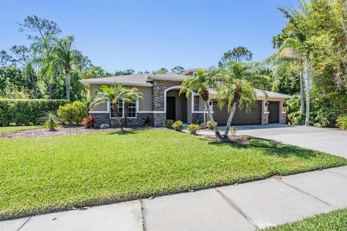 12801 Castlemaine Dr., Tampa, FL 33626