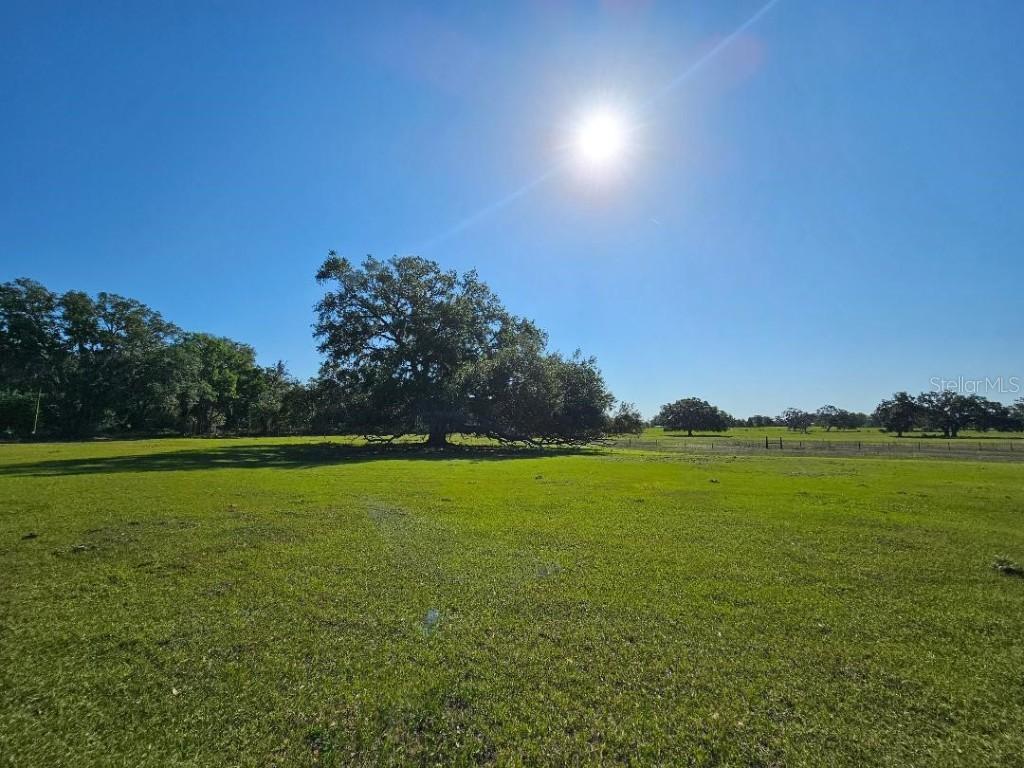 Arena Rd., Dade City, FL 33523