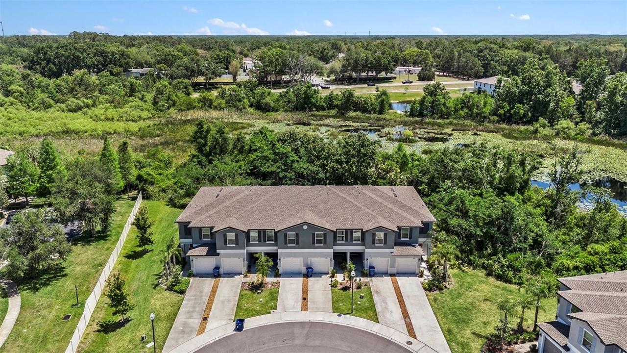 23378 Papyrus Way, Lutz, FL 33549