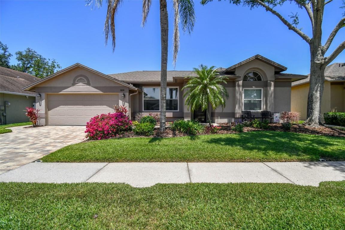 18533 Avocet Dr., Lutz, FL 33558