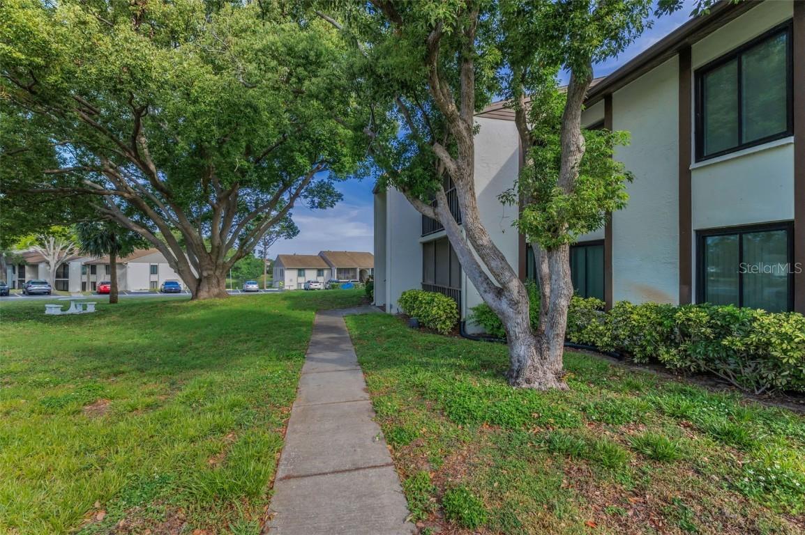2631 Pine Ridge Way #D1, Palm Harbor, FL 34684