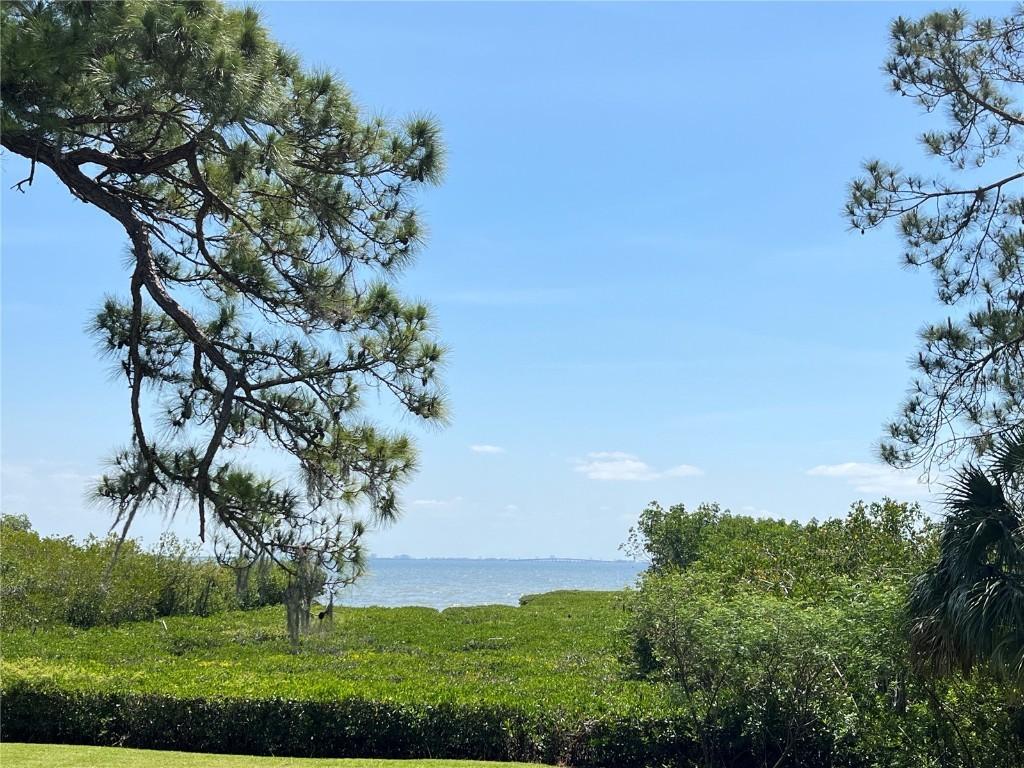 N Bayshore Dr., Safety Harbor, FL 34695