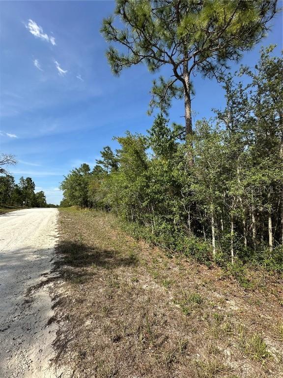 14106 Eastern Phoebe Rd., Brooksville, FL 34614