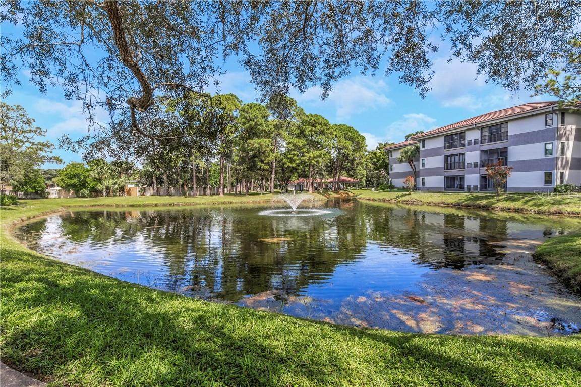 2650 Countryside Blvd. #A104, Clearwater, FL 33761