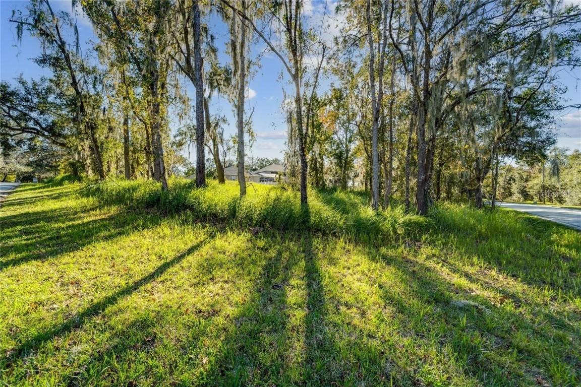 12505 Lake Hills Dr., Riverview, FL 33569