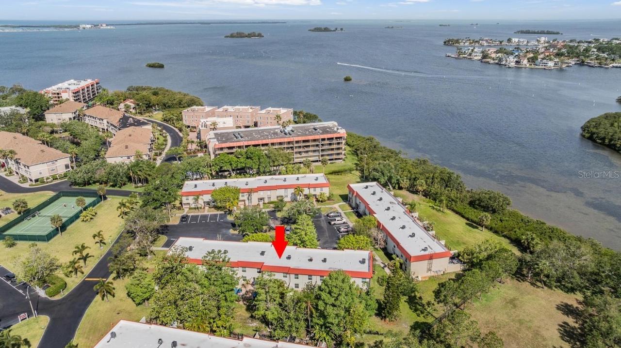 2700 Bayshore Blvd. #542, Dunedin, FL 34698