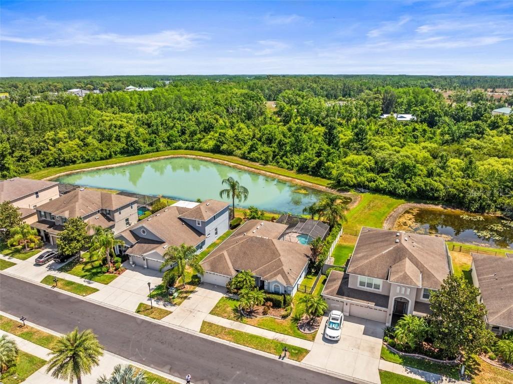 9632 Asbel Estates St., Land O Lakes, FL 34638