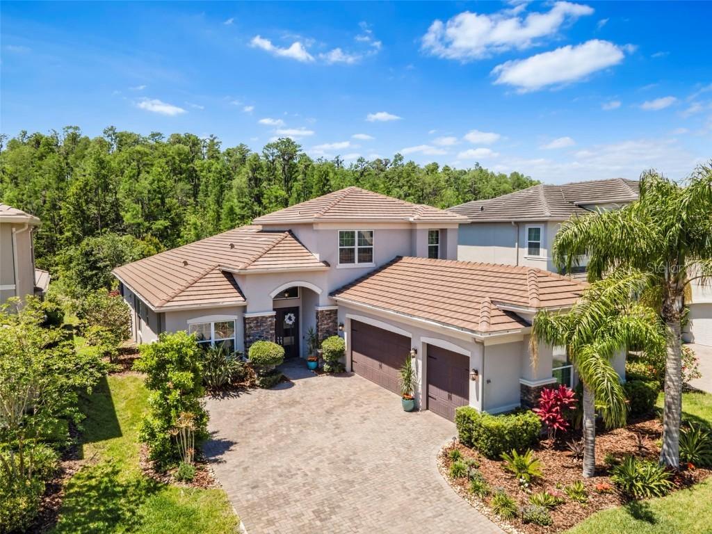 31050 Spruceberry Ct., Wesley Chapel, FL 33543