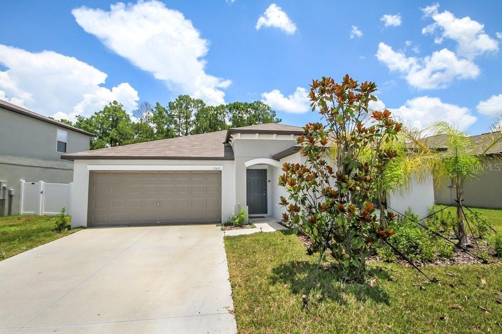 13419 Willow Bluestar Loop, Riverview, FL 33579