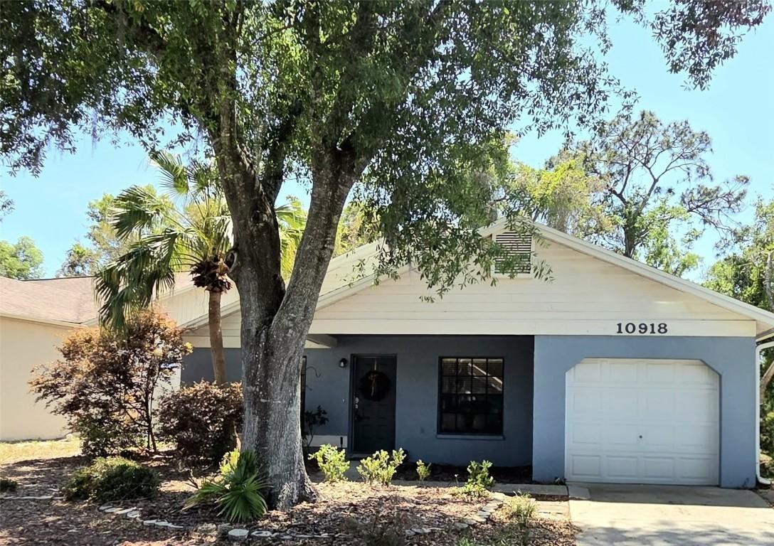 10918 Freemont Dr., New Port Richey, FL 34654
