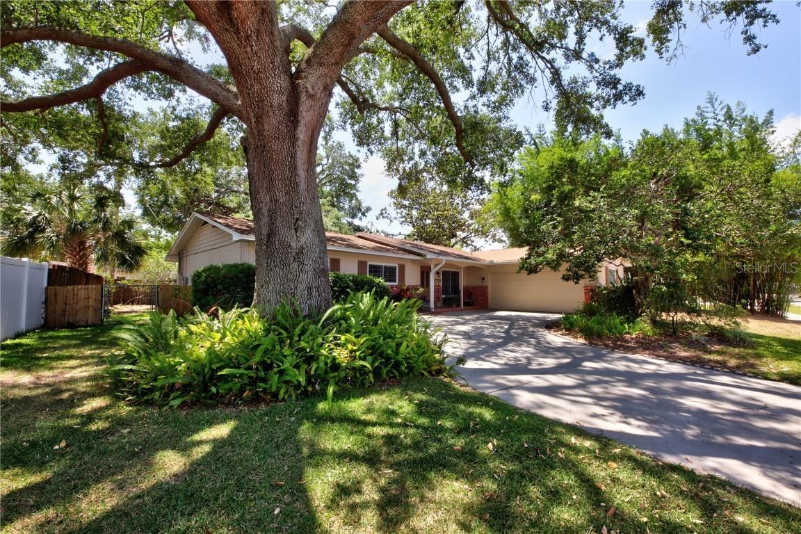 3306 Lacewood Rd., Tampa, FL 33618