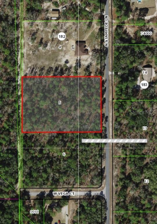 2348 N Stampede Dr., Beverly Hills, FL 34465