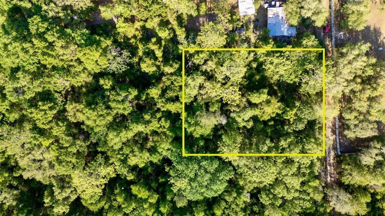 000 NE 206 St., Fort Mc Coy, FL 32134
