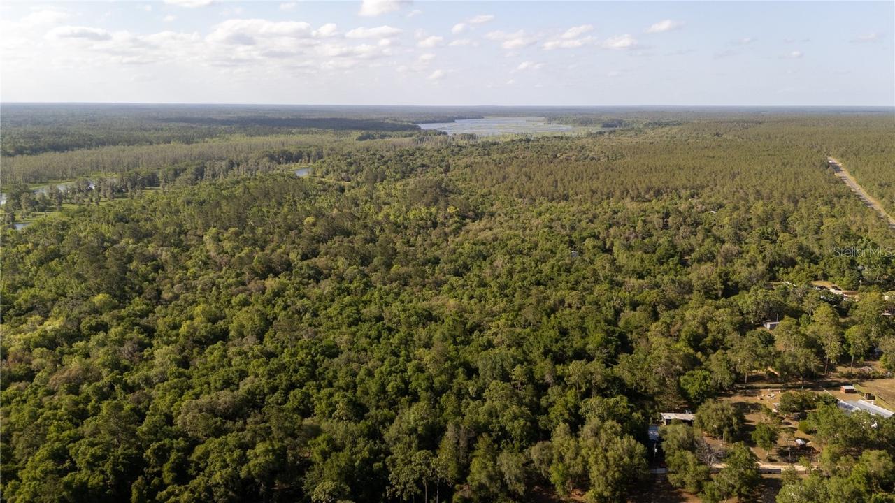 000 NE 206 St., Fort Mc Coy, FL 32134