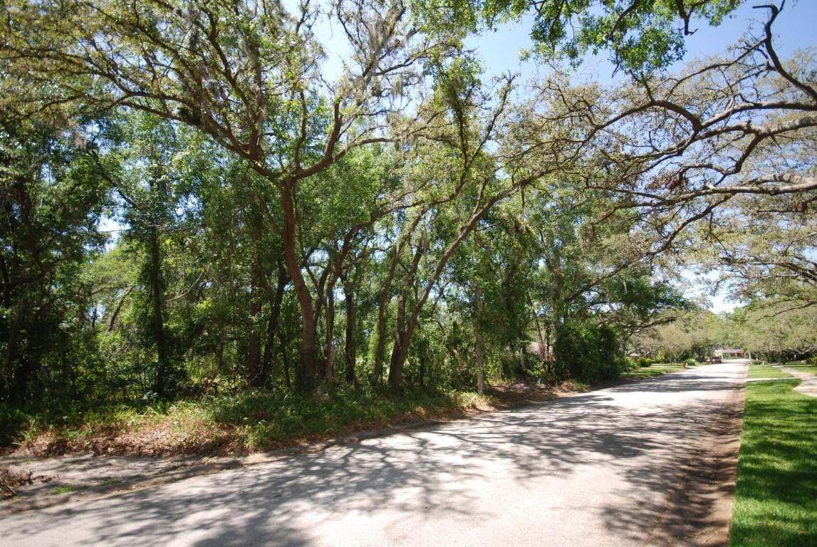 2905 Chelsea Woods Dr., Valrico, FL 33596