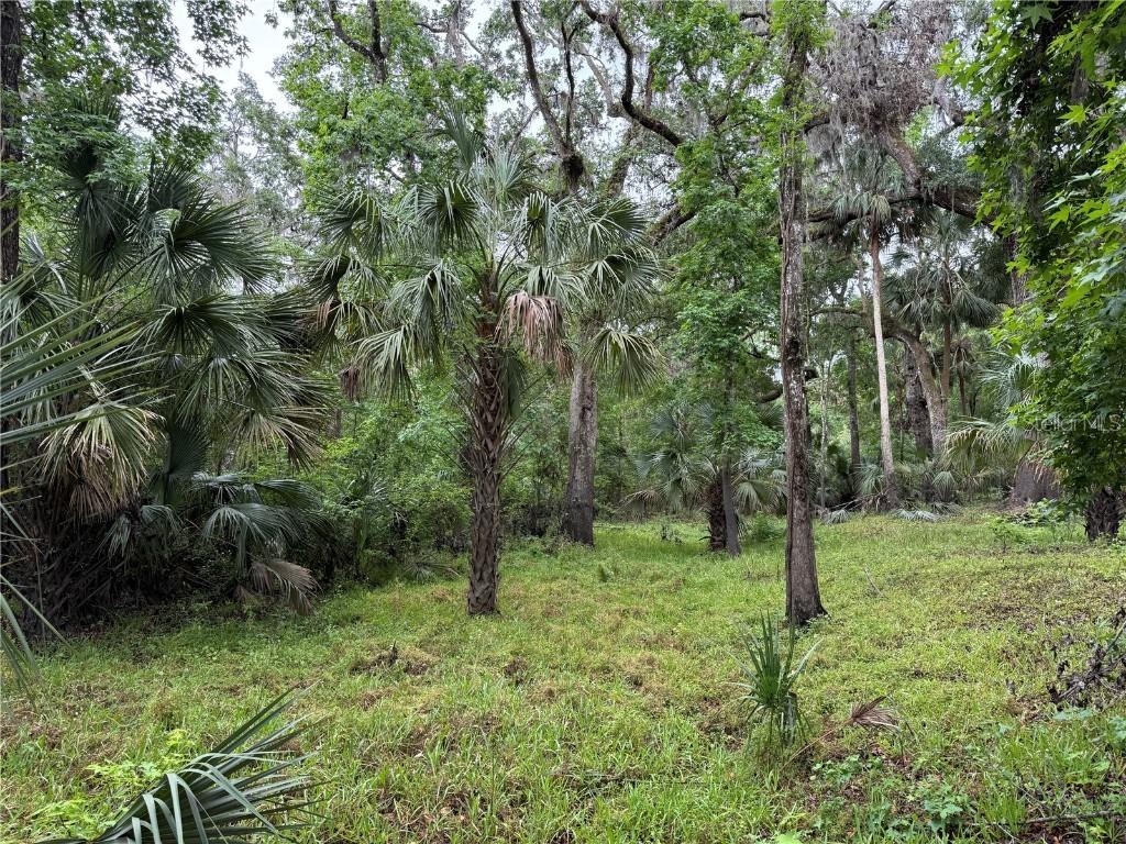 Lot #2 Coconut Cove Pl., Valrico, FL 33596