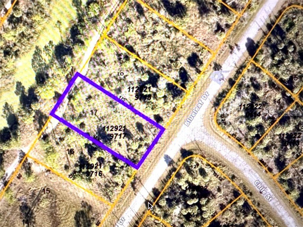 Blueleaf Dr., North Port, FL 34288