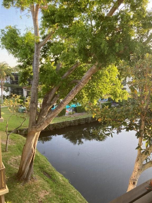 7951 58th Ave. #308, St Petersburg, FL 33709
