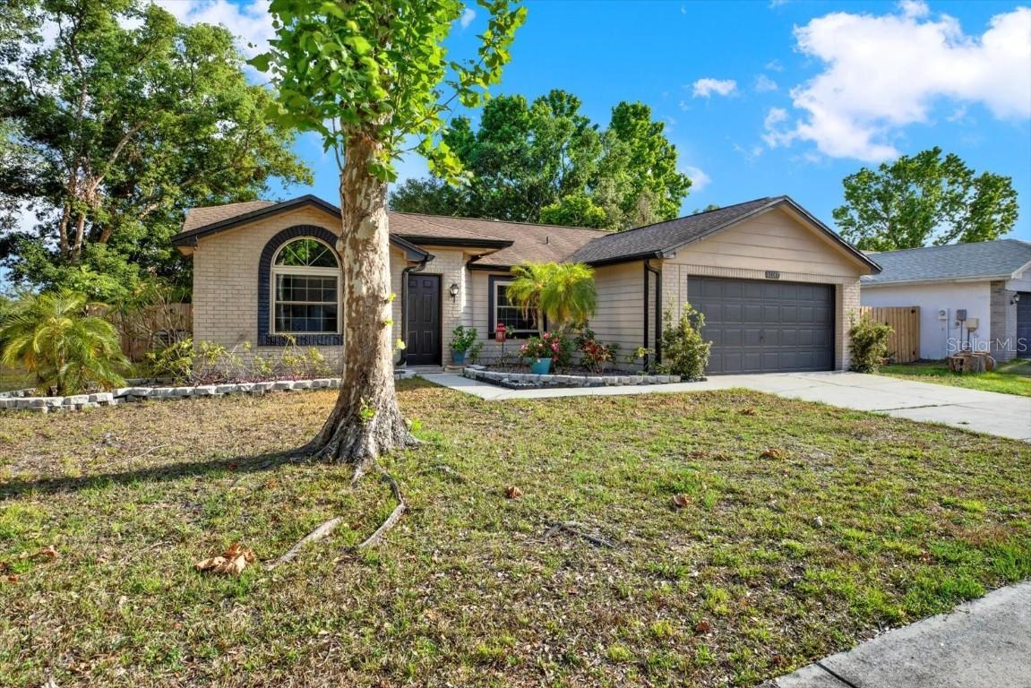 12017 Vermillion Way, Riverview, FL 33569