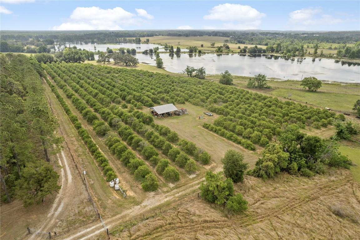 Barry Rd, Dade City, FL 33523