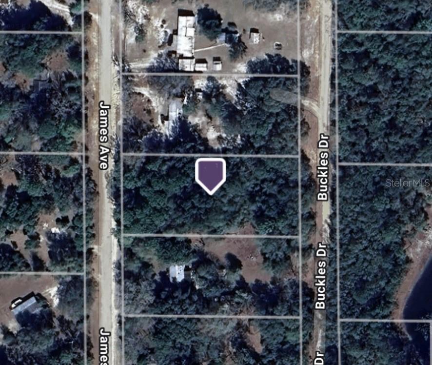 106 James Ave., Interlachen, FL 32148