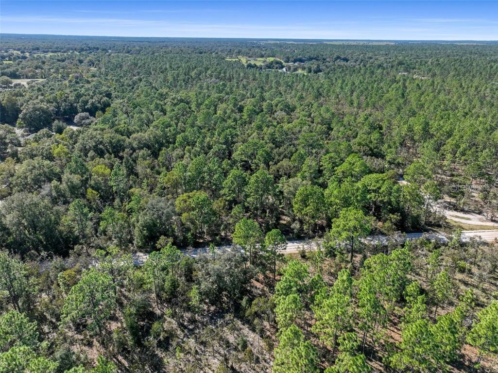 SW 103rd Ln., Dunnellon, FL 34432