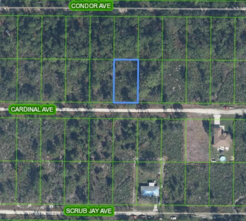 Cardinal Ave, Sebring, FL 33870