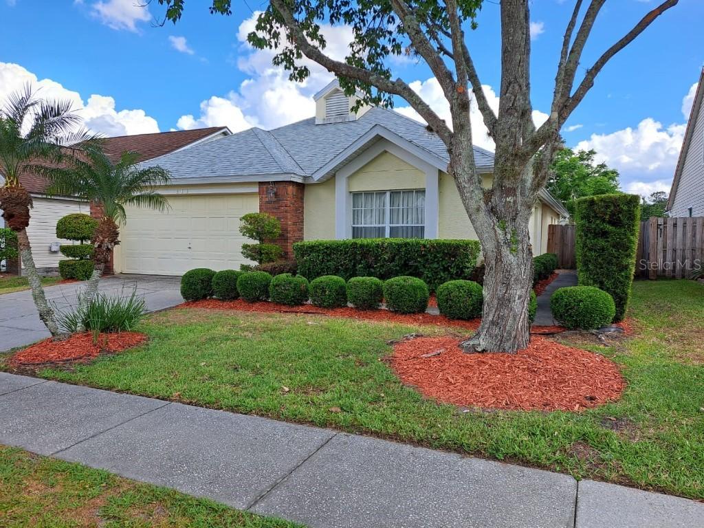 313 Morning Creek Cir., Apopka, FL 32712
