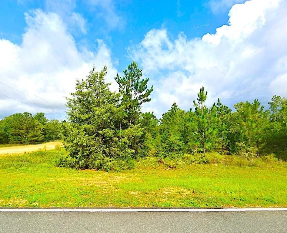 Fairview Rd., Alford, FL 32420