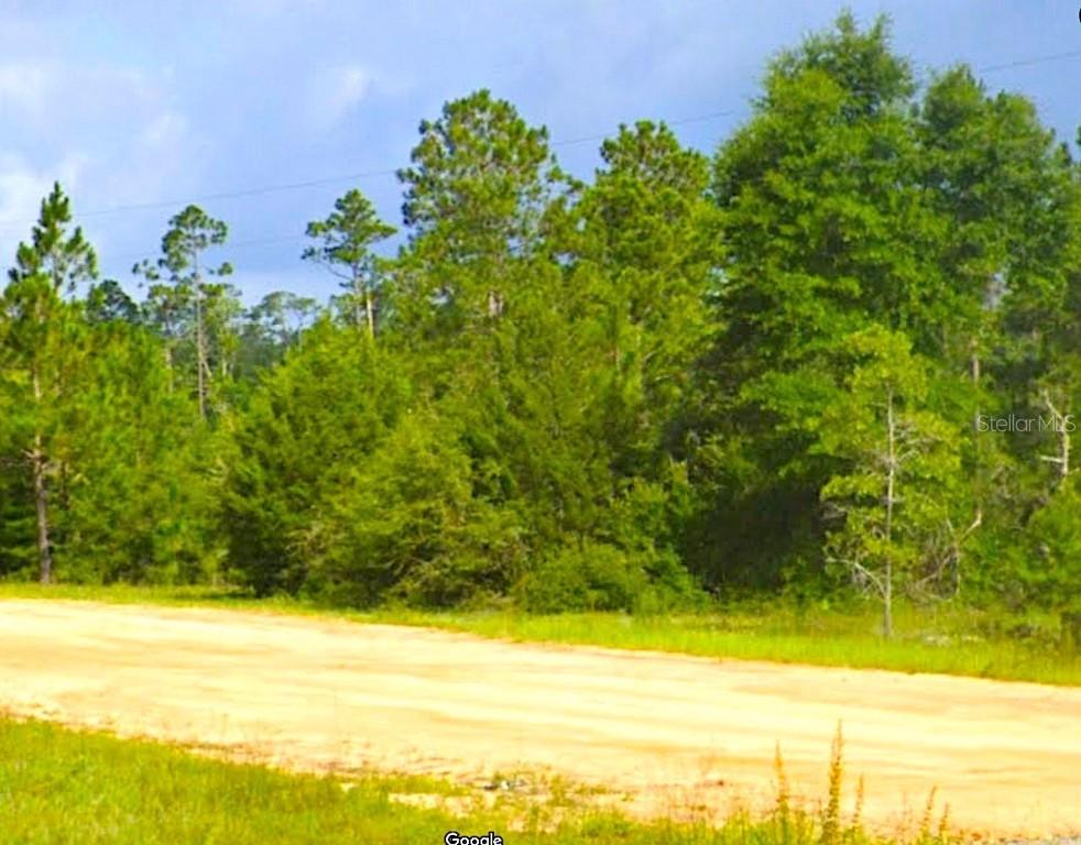 Cleveland Dr., Alford, FL 32420