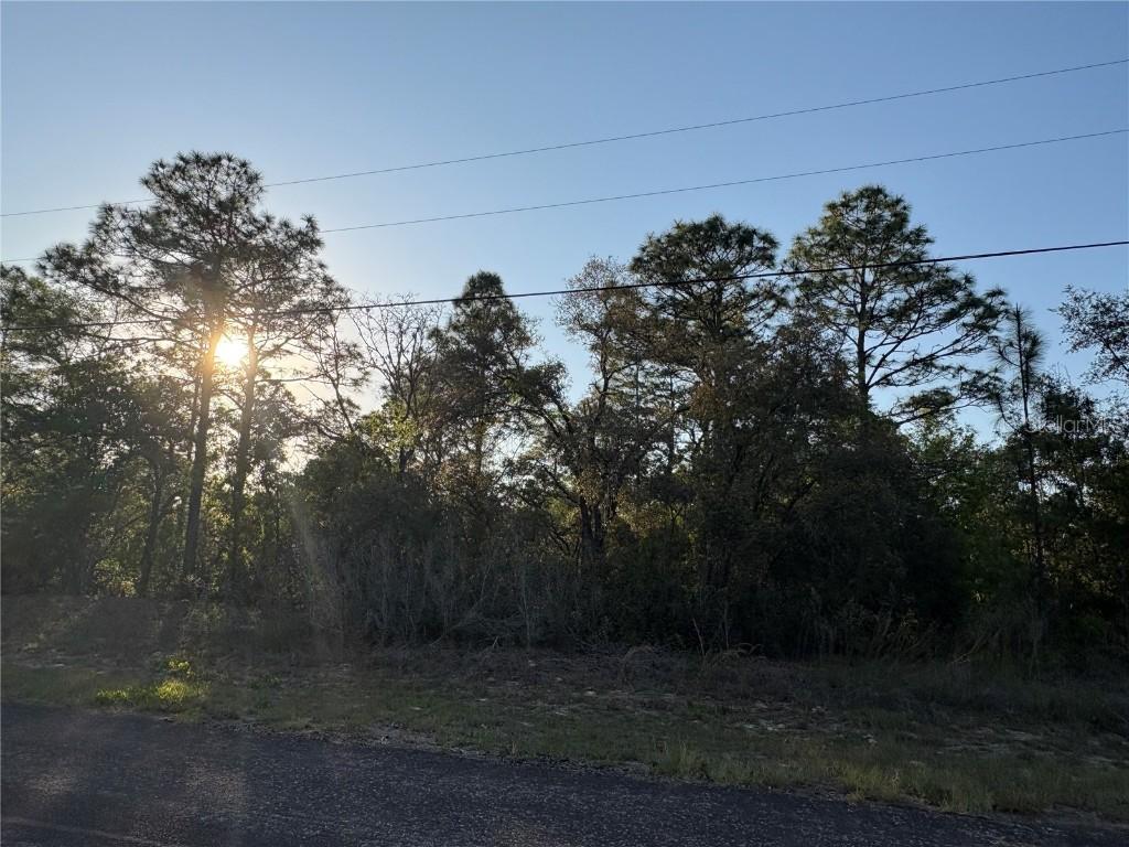9172 N Marcus Way, Citrus Springs, FL 34433