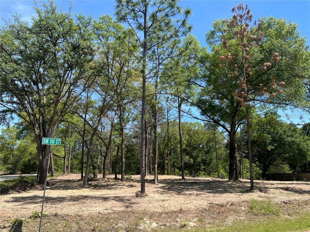 SW 110th Ct., Dunnellon, FL 34432
