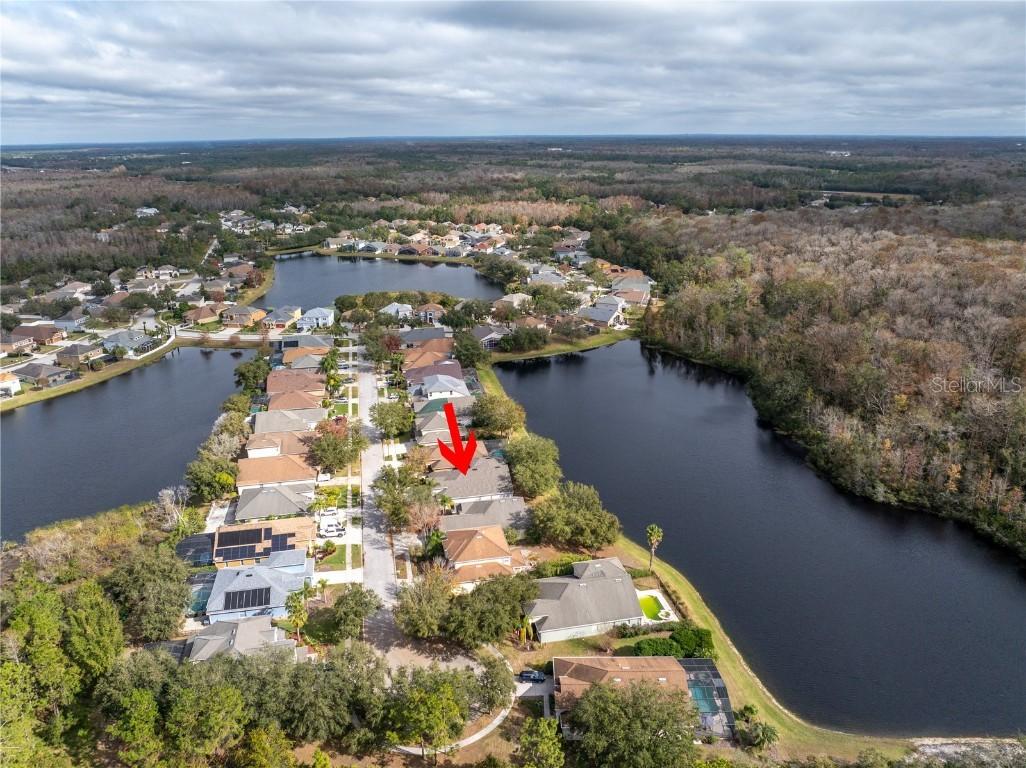 10506 Sky Flower Ct., Land O Lakes, FL 34638