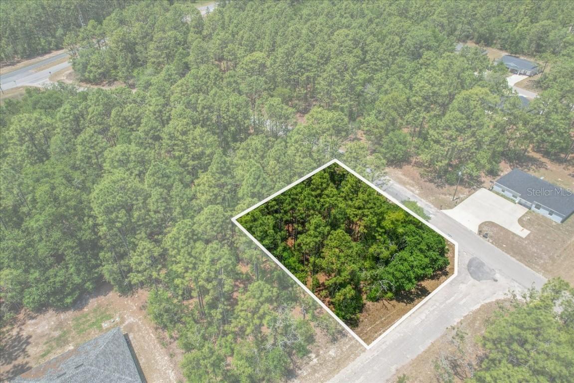 9410 N Peachtree Way, Citrus Springs, FL 34434