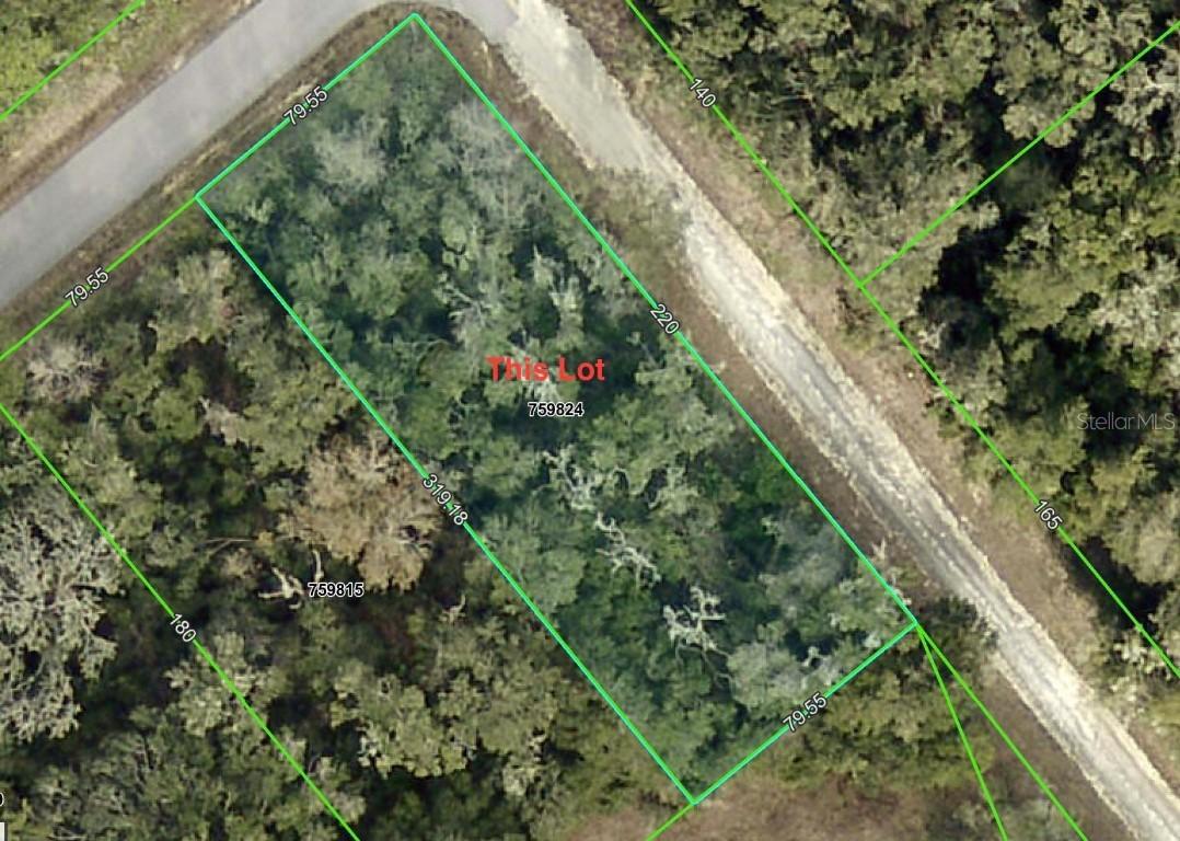 Smallman St., Webster, FL 33597