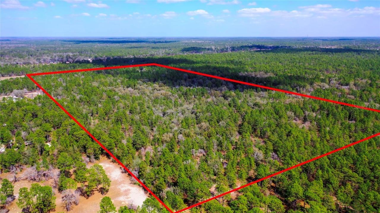 7137 W Sunmar Sample Ln., Dunnellon, FL 34433