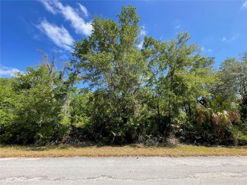 12399 W Baltic Ivy St., Crystal River, FL 34428