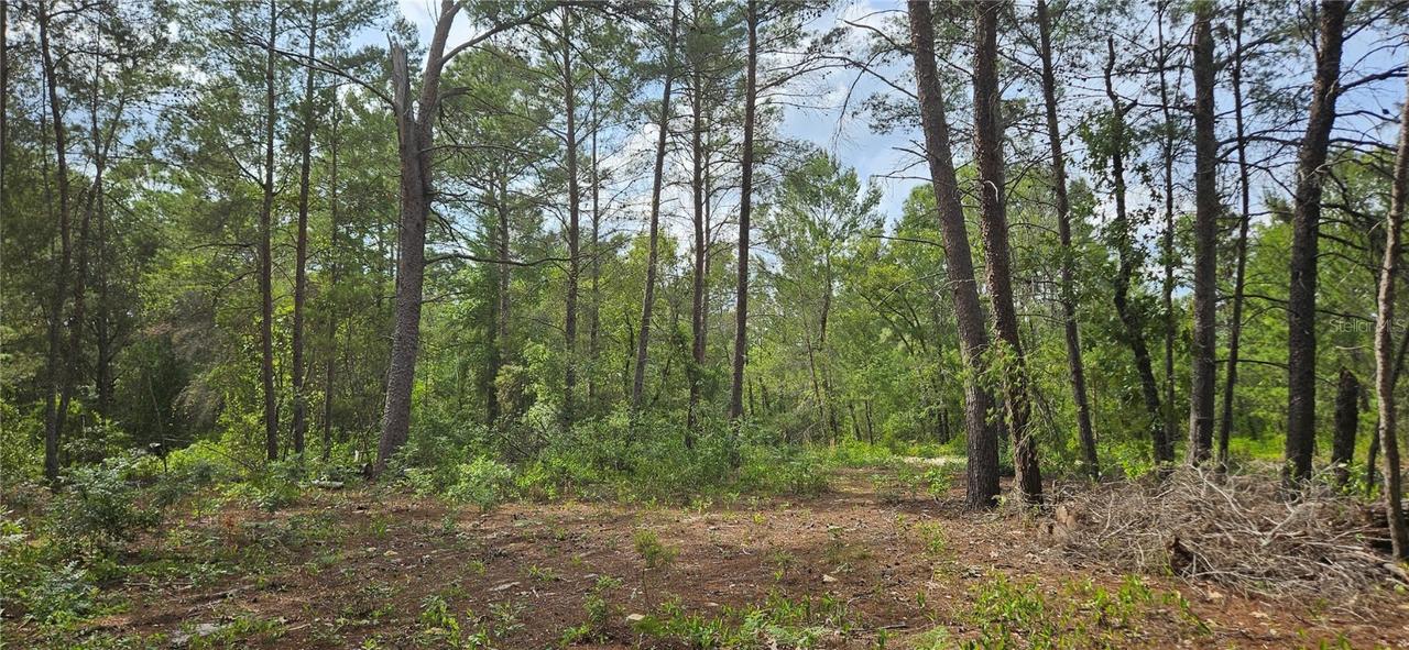 6283 Bowdoin Ave., Keystone Heights, FL 32656