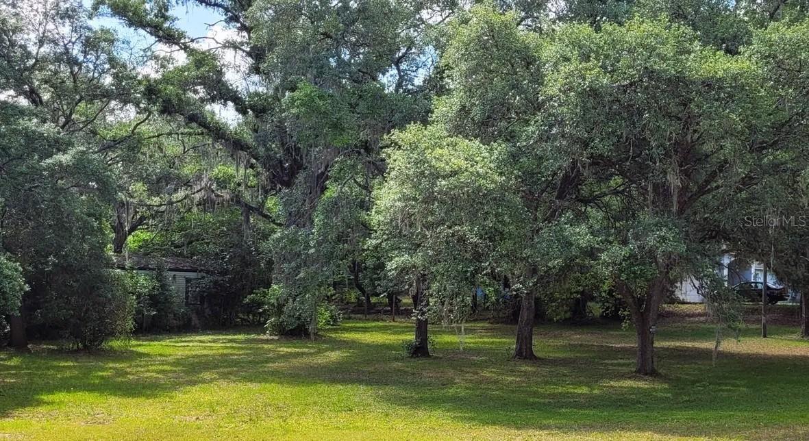 17912 Greensboro St., Spring Hill, FL 34610