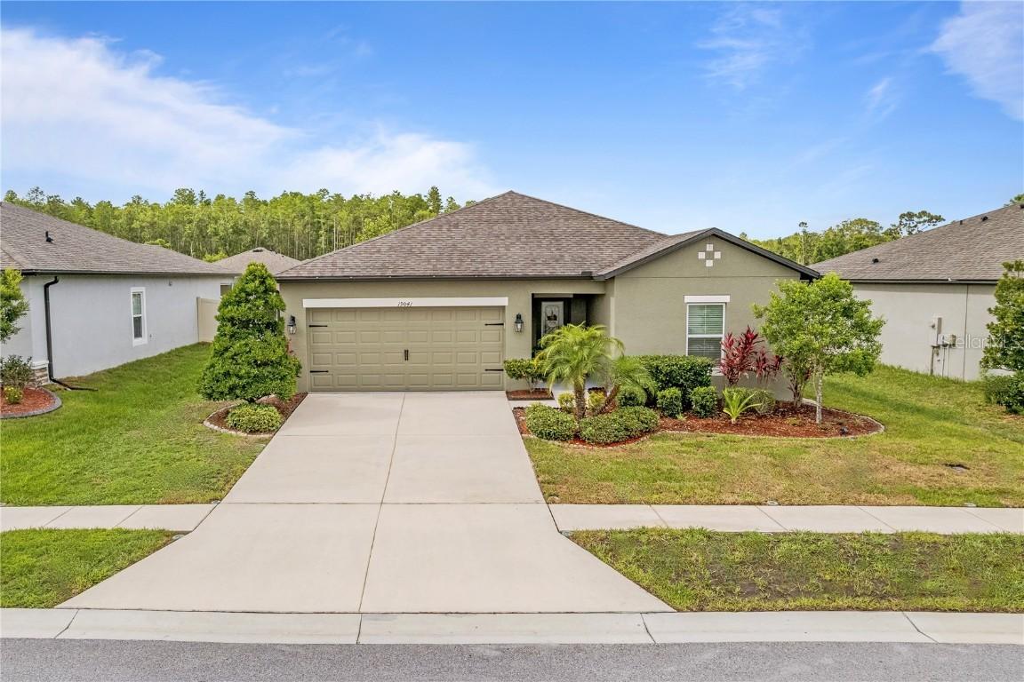 19041 Alfaro Loop, Spring Hill, FL 34610