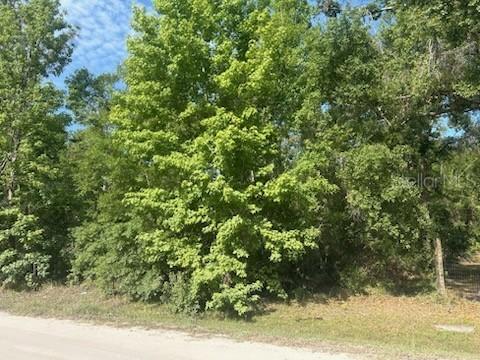Lots 551-559 Hawthorne St., Zephyrhills, FL 33540