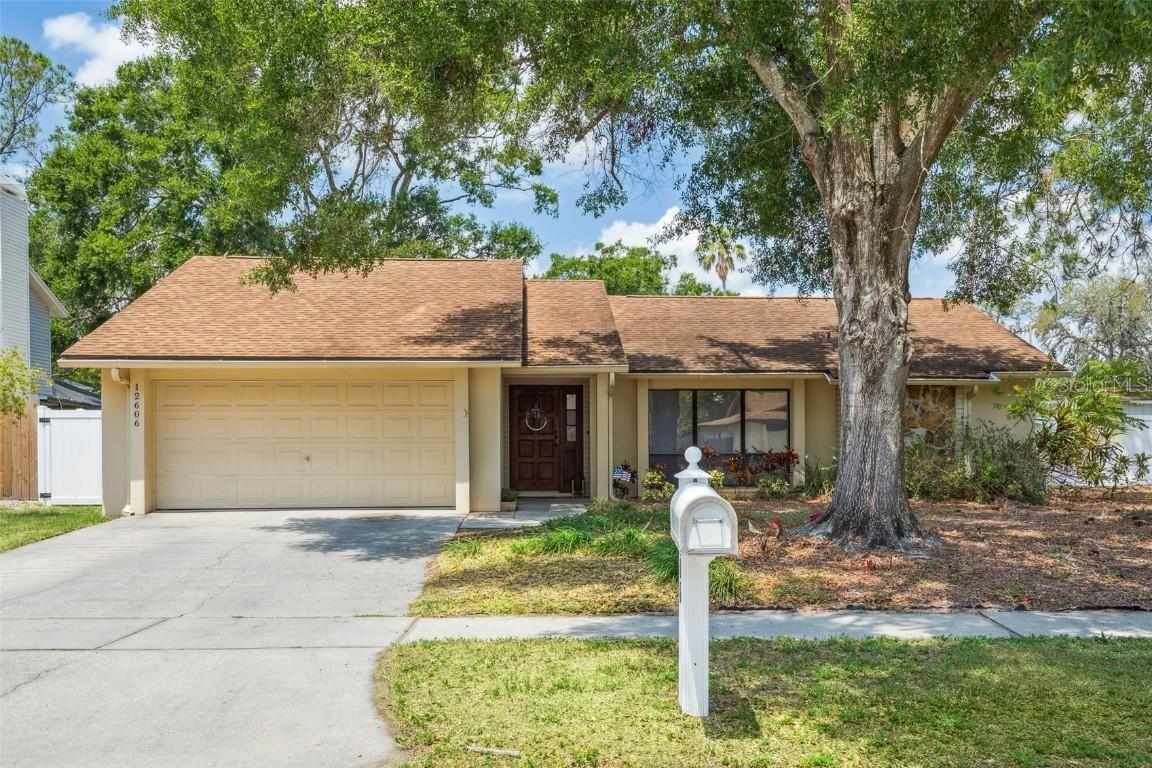12606 Rain Forest St., Temple Terrace, FL 33617