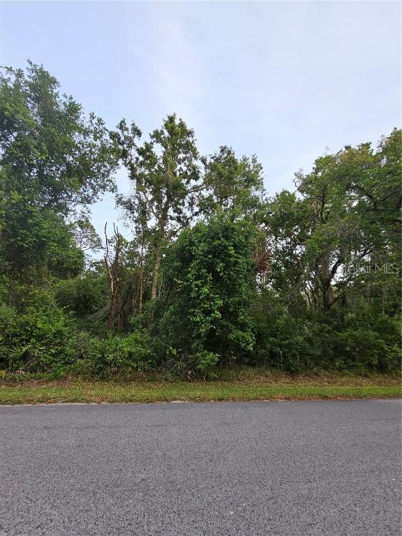 00 Gurnee Ave., New Port Richey, FL 34654