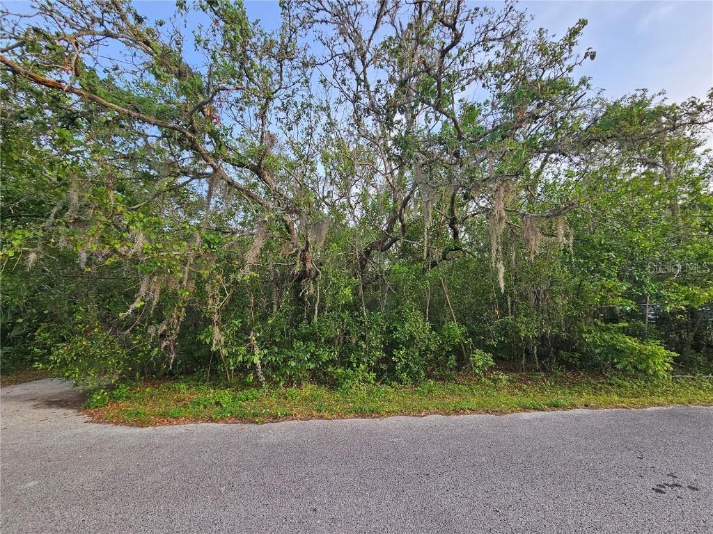 00 Valimar Rd., New Port Richey, FL 34654
